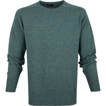 Textiel Heren Sweaters / Sweatshirts William Lockie Lamswol Middengroen Groen