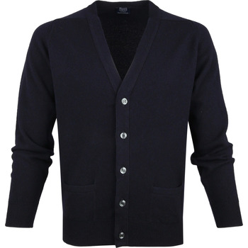 Textiel Heren Sweaters / Sweatshirts William Lockie Lamswol Vest Navy Groen