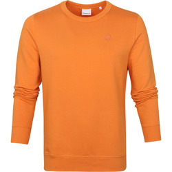 Textiel Heren Sweaters / Sweatshirts Knowledge Cotton Apparel Elm Trui Oranje Oranje