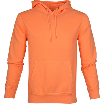 Textiel Heren Sweaters / Sweatshirts Colorful Standard Hoodie Neon Oranje Oranje
