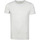 Textiel Heren T-shirts & Polo’s Dstrezzed T-shirt Mc Queen Lichtgrijs Grijs