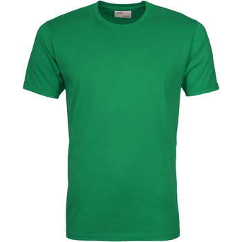 Textiel Heren T-shirts & Polo’s Colorful Standard T-shirt Kelly Green Groen