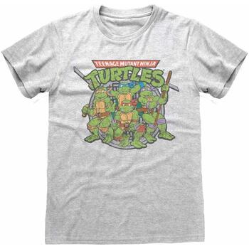 Textiel T-shirts met lange mouwen Teenage Mutant Ninja Turtles  Grijs