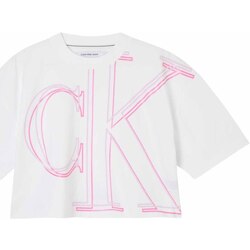 Textiel Dames T-shirts & Polo’s Calvin Klein Jeans J20J219004 Wit