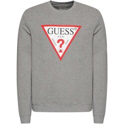 Textiel Heren Sweaters / Sweatshirts Guess M2YQ37 K6ZS1 Grijs