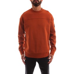 Textiel Heren Sweaters / Sweatshirts Calvin Klein Jeans K10K109708 Bruin