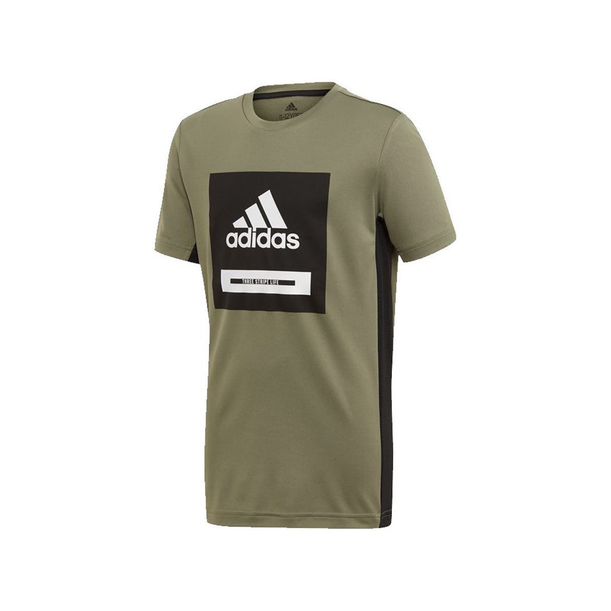 Textiel Jongens T-shirts & Polo’s adidas Originals  Groen