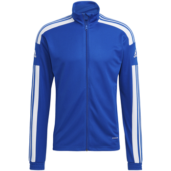 Textiel Heren Jacks / Blazers adidas Originals Veste  Squadra 21 Training Blauw