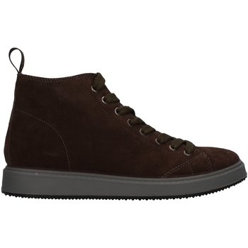 Schoenen Heren Hoge sneakers IgI&CO 2630022 Bruin