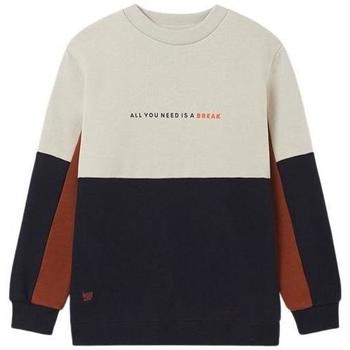 Textiel Jongens Sweaters / Sweatshirts Mayoral  Beige