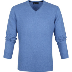 Textiel Heren Sweaters / Sweatshirts Suitable Lamswol Trui V-Collier Bleu Blauw