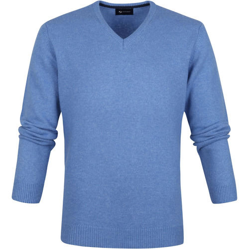 Textiel Heren Sweaters / Sweatshirts Suitable Lamswol Trui V-Hals Blauw Blauw