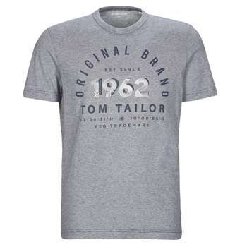 Textiel Heren T-shirts korte mouwen Tom Tailor 1035549 Grijs