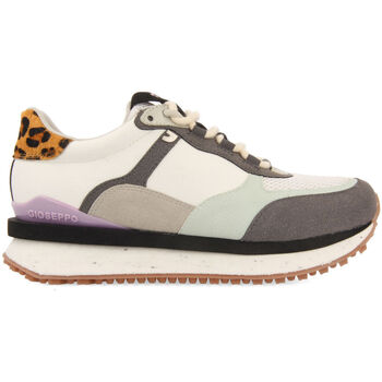 Schoenen Dames Sneakers Gioseppo F Multicolour