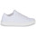 Schoenen Dames Lage sneakers UGG W ALAMEDA GRAPHIC KNIT Wit