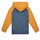 Textiel Jongens Sweaters / Sweatshirts Quiksilver EASY DAY BLOCK ZIP YOUTH Geel / Grijs