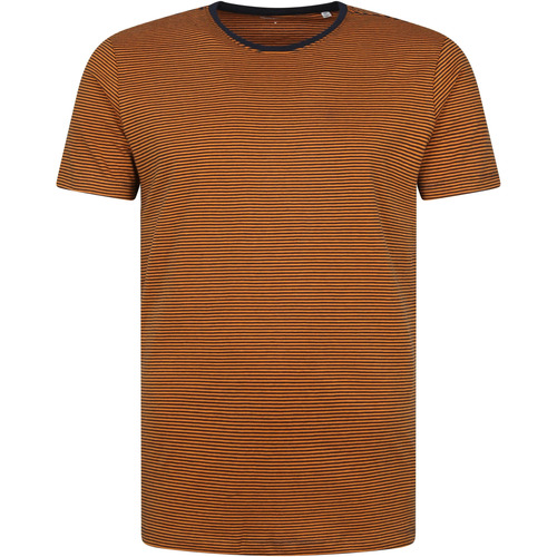 Textiel Heren T-shirts & Polo’s Knowledge Cotton Apparel T-shirt Desert Sun Streep Bruin Bruin