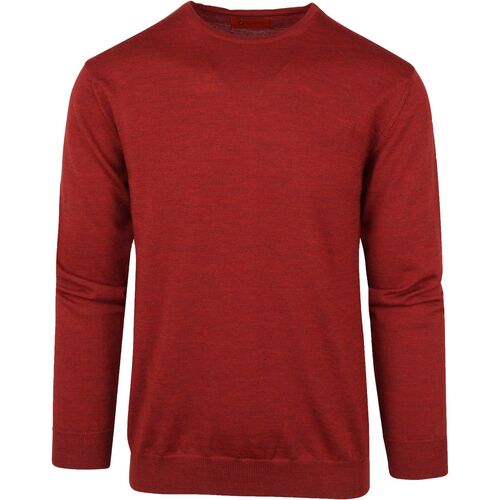 Textiel Heren Sweaters / Sweatshirts Suitable Merino Pullover O Rood Rood