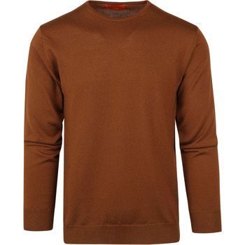 Textiel Heren Sweaters / Sweatshirts Suitable Merino Pullover O Bruin Bruin