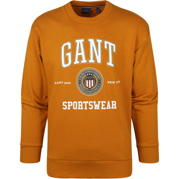 Textiel Heren Sweaters / Sweatshirts Gant Sweater O-Hals Okergeel Geel
