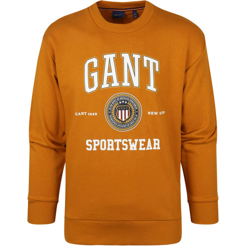 Textiel Heren Sweaters / Sweatshirts Gant Sweater O-Hals Okergeel Geel