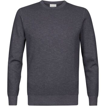Textiel Heren Sweaters / Sweatshirts Profuomo O-Hals Trui Blauw Blauw