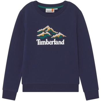 Textiel Jongens Sweaters / Sweatshirts Timberland  Blauw
