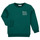 Textiel Jongens Sweaters / Sweatshirts Name it NMMTOMS SWEAT Groen