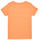 Textiel Meisjes T-shirts korte mouwen Name it NKFTATIANNA SS TOP Oranje