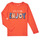 Textiel Meisjes T-shirts korte mouwen Name it NMFVIX LS TOP Oranje