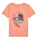 Textiel Jongens T-shirts korte mouwen Name it NKMFICOLAJ SS TOP BOX Oranje