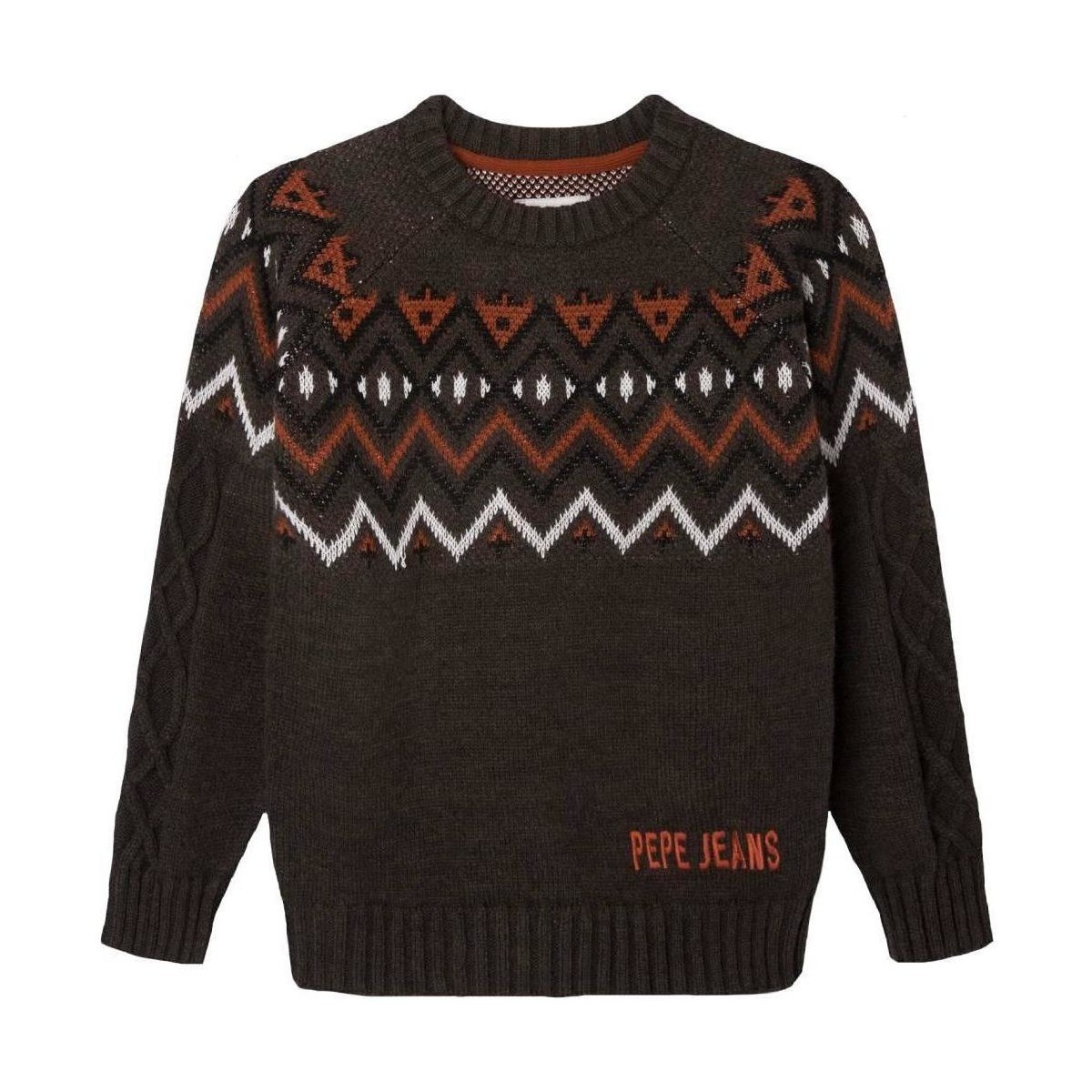Textiel Jongens Sweaters / Sweatshirts Pepe jeans  Bruin
