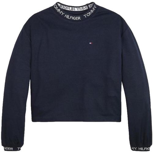 Textiel Meisjes Sweaters / Sweatshirts Tommy Hilfiger  Blauw