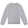 Textiel Jongens Sweaters / Sweatshirts Zadig & Voltaire X25374-A35-J Grijs / Clair
