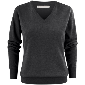 Textiel Dames Sweaters / Sweatshirts James Harvest  Multicolour