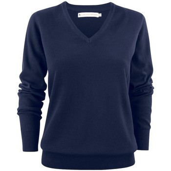 Textiel Dames Sweaters / Sweatshirts James Harvest  Blauw