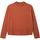 Textiel Meisjes Sweaters / Sweatshirts Pepe jeans  Oranje