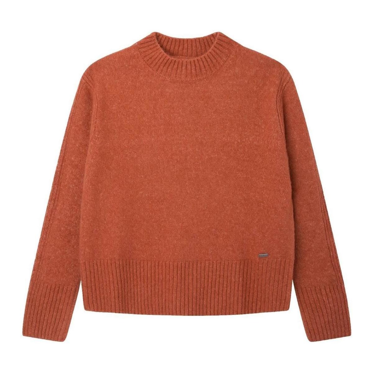 Textiel Meisjes Sweaters / Sweatshirts Pepe jeans  Oranje