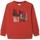 Textiel Jongens Sweaters / Sweatshirts Pepe jeans  Rood