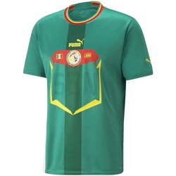 Textiel Heren T-shirts korte mouwen Puma Fsf Away Jersey Groen