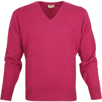 Textiel Heren Sweaters / Sweatshirts William Lockie Pullover Lamswol V Vegas Roze