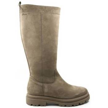 Schoenen Dames Low boots Sioux DAMES laars   5168511 NUB FANGO taupe taupe