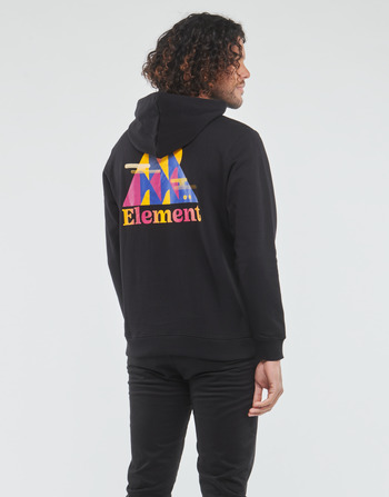 Textiel Heren Sweaters / Sweatshirts Element HILLS HOOD Zwart