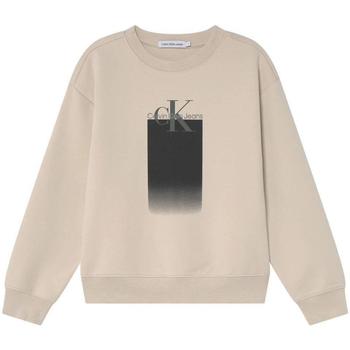 Textiel Jongens Sweaters / Sweatshirts Calvin Klein Jeans  Beige