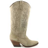 Schoenen Dames Low boots Shoecolate DAMES laars   8.12.08.813. taupe taupe