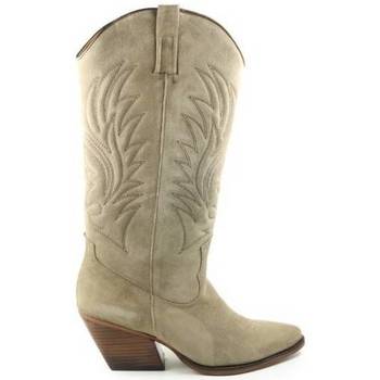Schoenen Dames Low boots Shoecolate DAMES laars   8.12.08.813. taupe Other