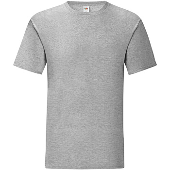 Textiel Heren T-shirts met lange mouwen Fruit Of The Loom SS430 Grijs