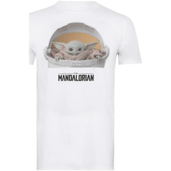 Textiel Heren T-shirts met lange mouwen Star Wars: The Mandalorian  Wit