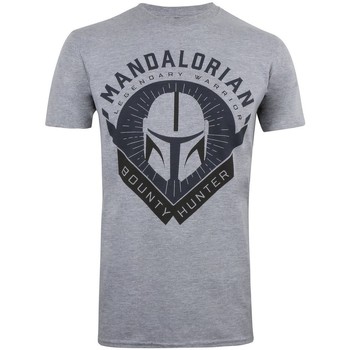 Textiel Heren T-shirts met lange mouwen Star Wars: The Mandalorian  Grijs
