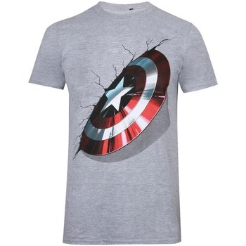 Textiel Heren T-shirts met lange mouwen Captain America  Grijs